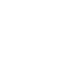 OZii Instagram Social Link